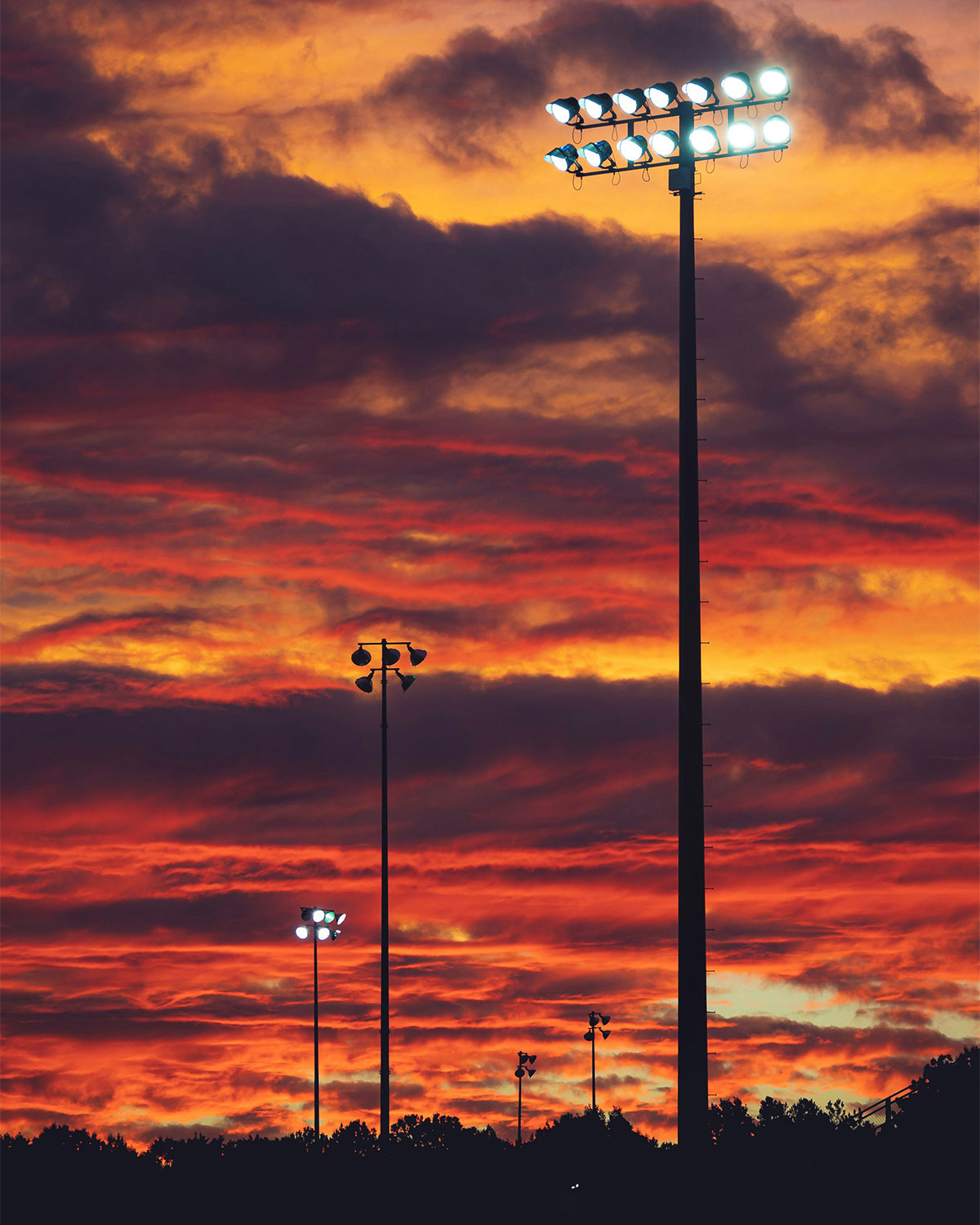 Street Flood Light