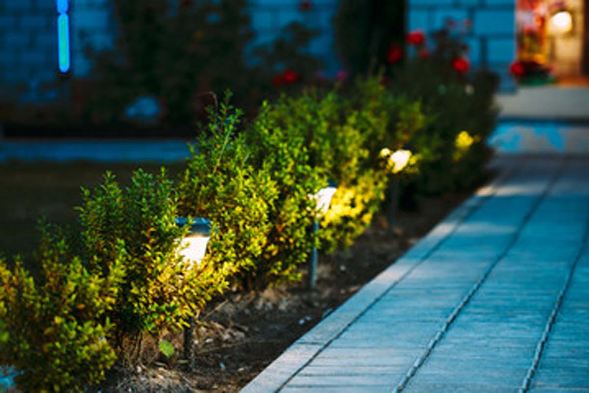 Light Up the Surroundings in Your Garden